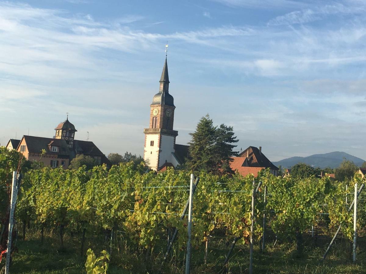 La Parenthese Villa Gertwiller Exteriör bild